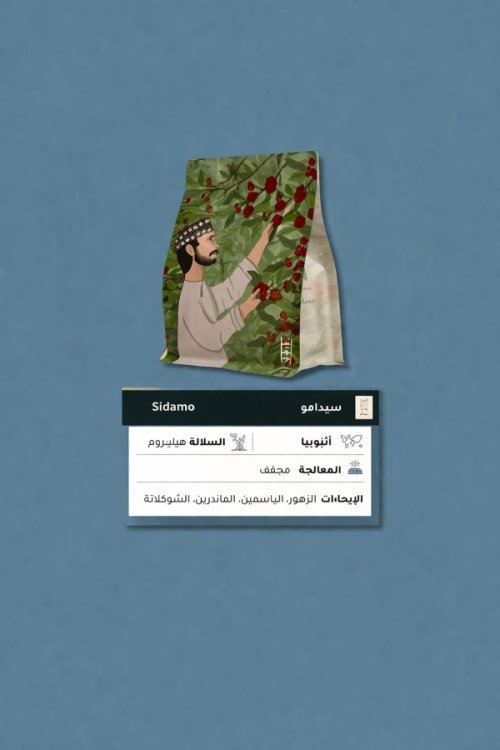 سقيا أندنوسيا ياسمين250جرام